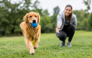 How to Teach Reliable Recall That Holds Up